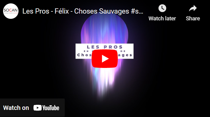 Cliquez sur l’image pour démarrer la vidéo