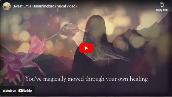 Chorus of Courage, Sweet Little Hummingbird, Julian Taylor, video