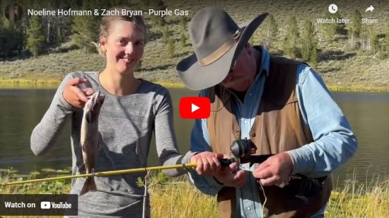 Noeline Hofmann, Zach Bryan, Purple Gas